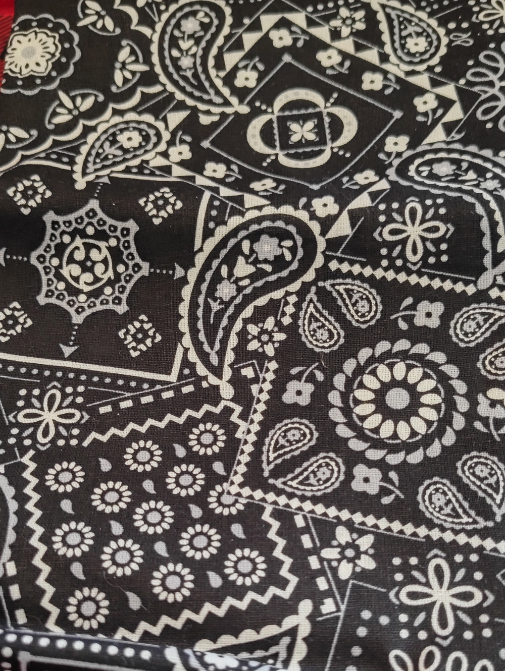 Black & White Paisley Cotton Fabric - Waverly Inspirations 2/3 Of A Yard